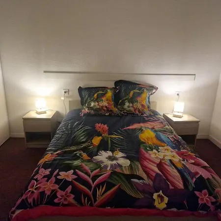 Beau T2 Proche De Toulouse Apartament *